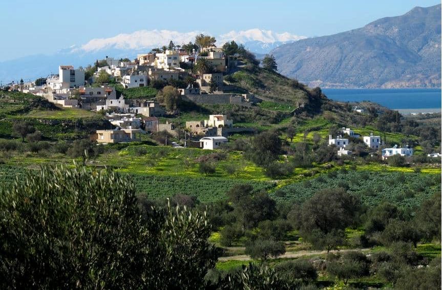 Paysage de Kamilari : oliveraies descendant vers la mer
